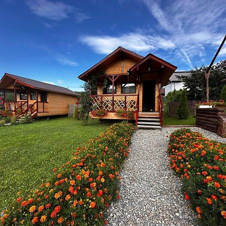 Baltina Parc Transfagarasan Villa Curtea de Argeş Dış mekan fotoğraf