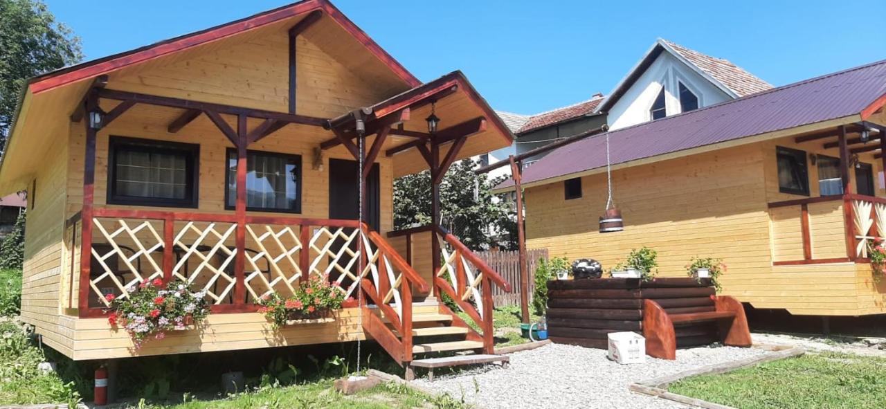 Baltina Parc Transfagarasan Villa Curtea de Argeş Dış mekan fotoğraf