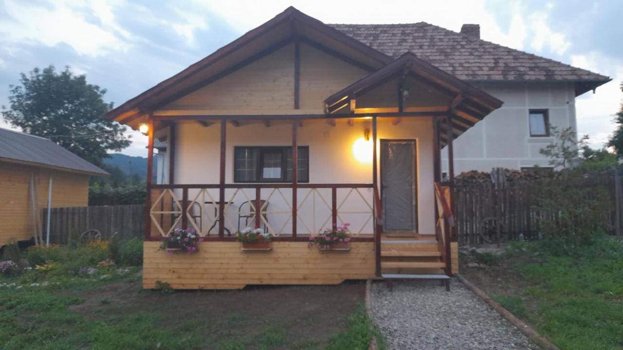 Baltina Parc Transfagarasan Villa Curtea de Argeş Dış mekan fotoğraf