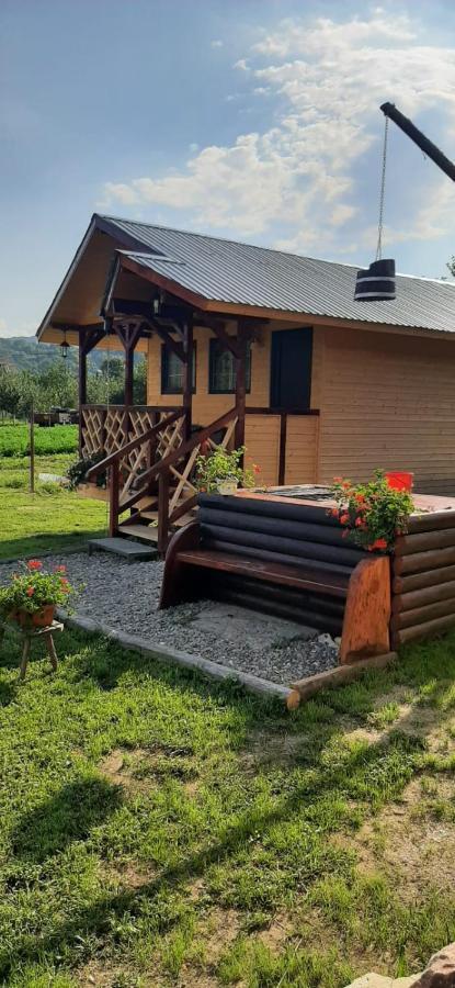 Baltina Parc Transfagarasan Villa Curtea de Argeş Dış mekan fotoğraf
