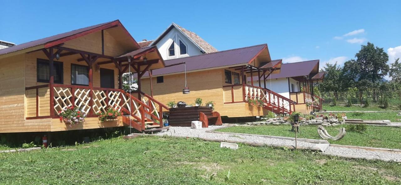 Baltina Parc Transfagarasan Villa Curtea de Argeş Dış mekan fotoğraf