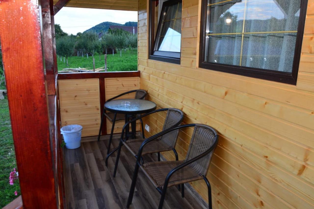 Baltina Parc Transfagarasan Villa Curtea de Argeş Dış mekan fotoğraf