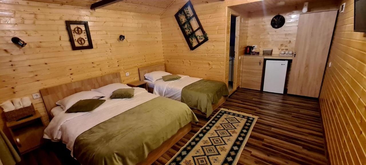 Baltina Parc Transfagarasan Villa Curtea de Argeş Dış mekan fotoğraf