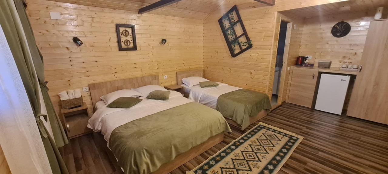 Baltina Parc Transfagarasan Villa Curtea de Argeş Dış mekan fotoğraf