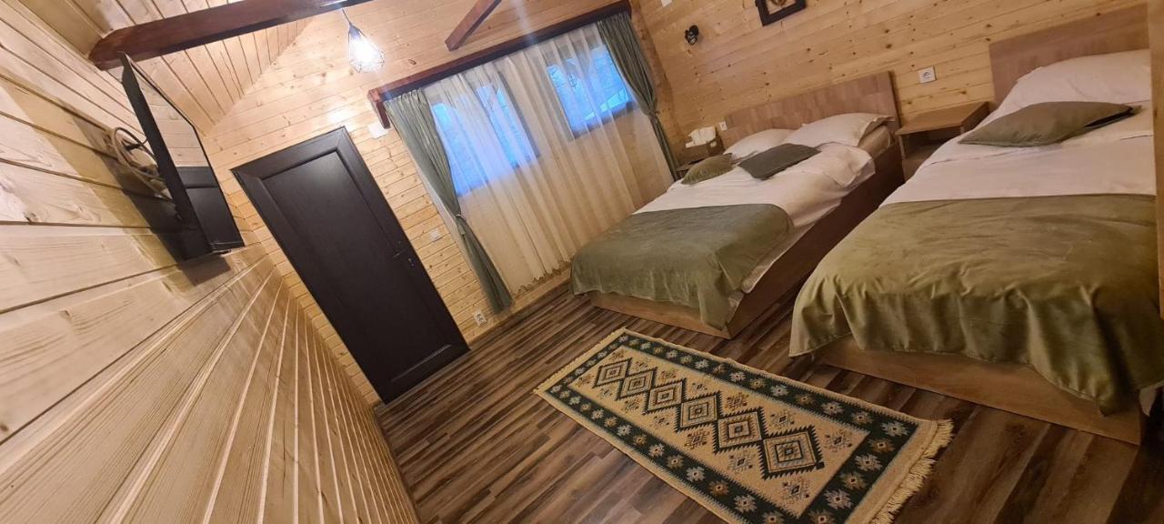 Baltina Parc Transfagarasan Villa Curtea de Argeş Dış mekan fotoğraf
