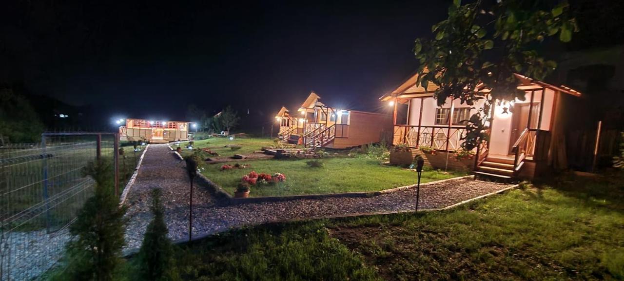 Baltina Parc Transfagarasan Villa Curtea de Argeş Dış mekan fotoğraf