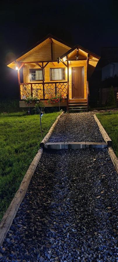 Baltina Parc Transfagarasan Villa Curtea de Argeş Dış mekan fotoğraf