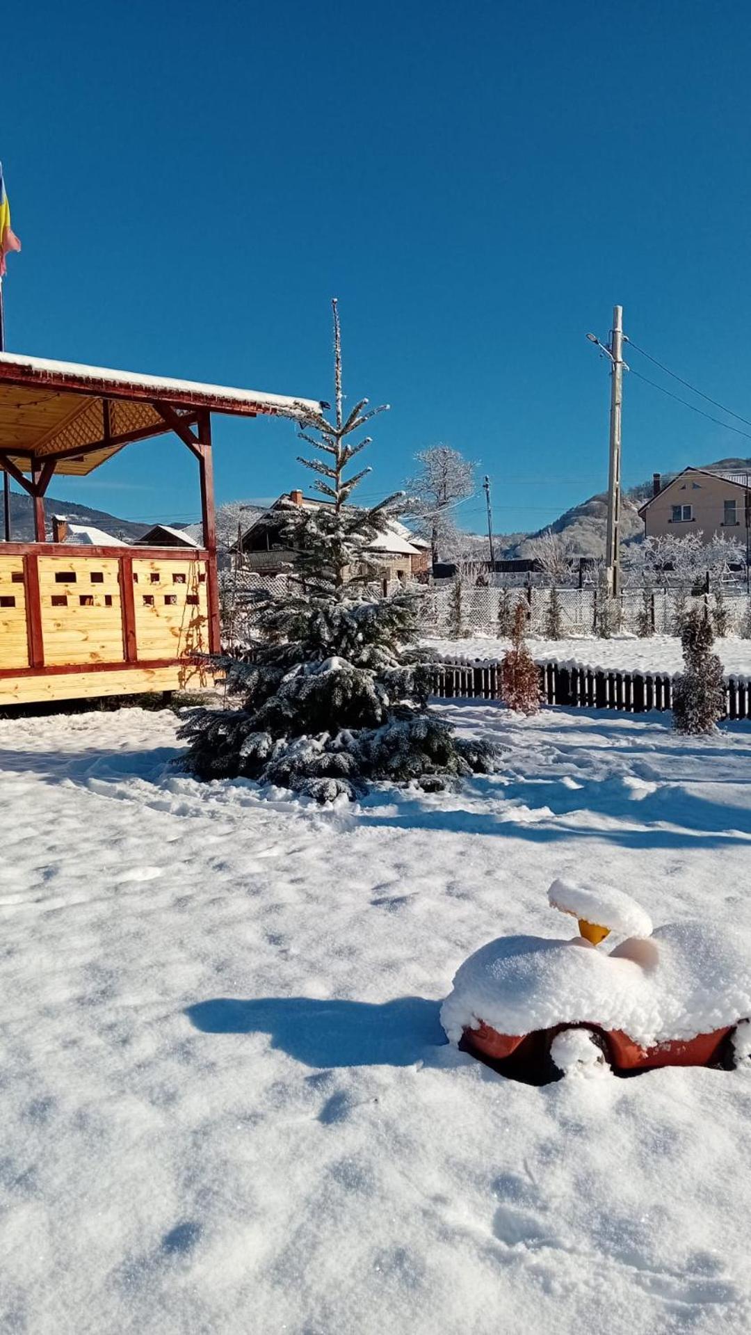Baltina Parc Transfagarasan Villa Curtea de Argeş Dış mekan fotoğraf