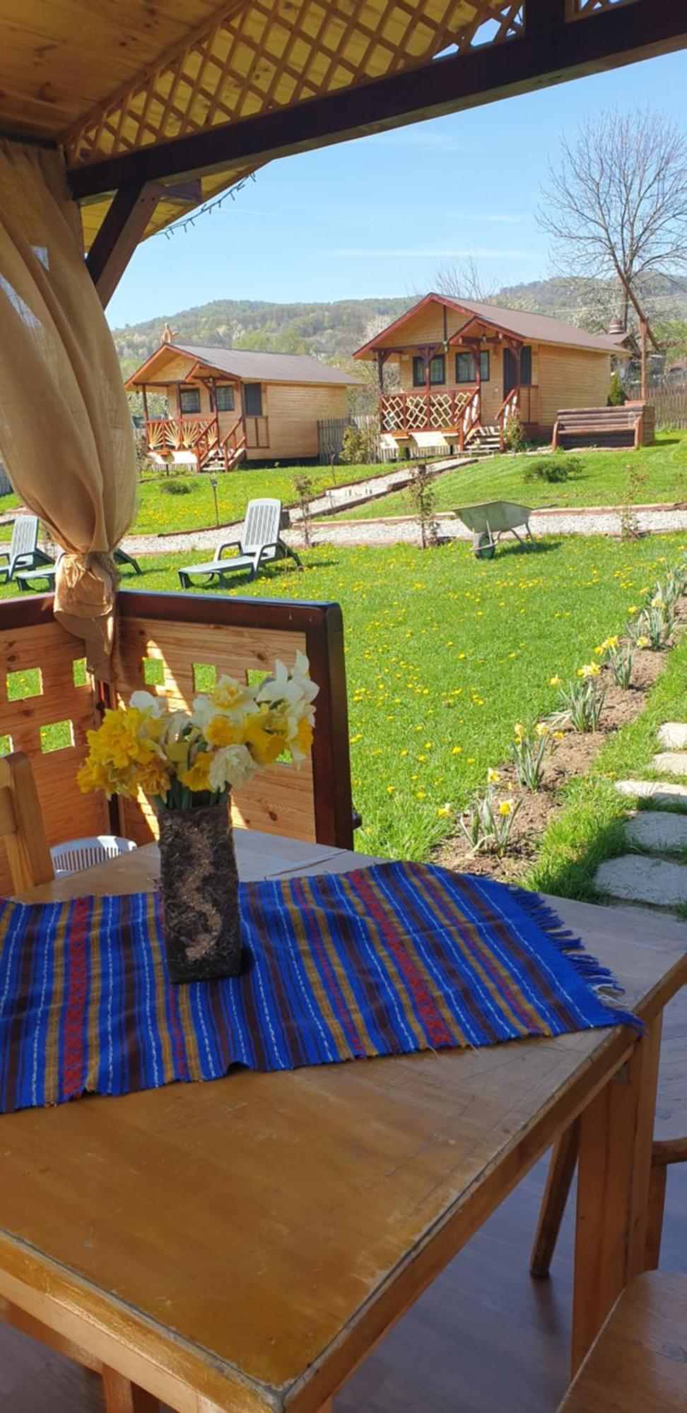 Baltina Parc Transfagarasan Villa Curtea de Argeş Dış mekan fotoğraf