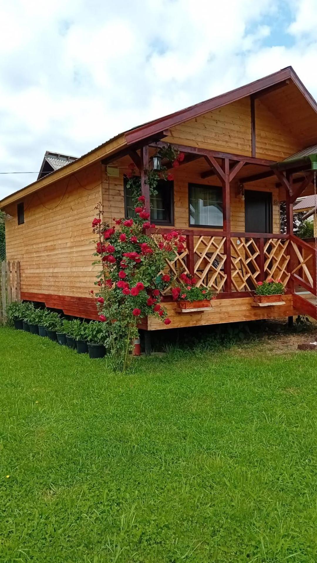 Baltina Parc Transfagarasan Villa Curtea de Argeş Dış mekan fotoğraf