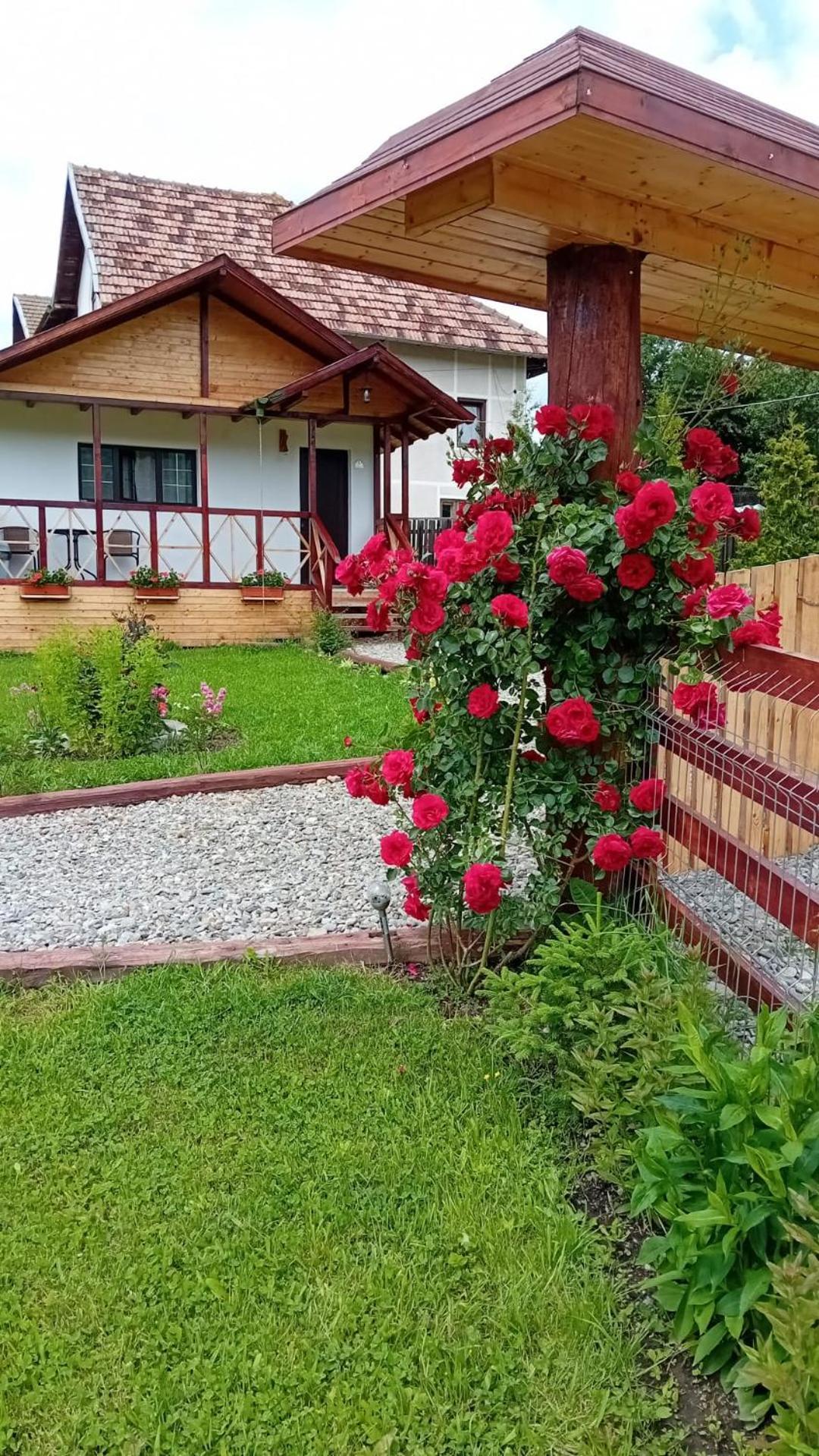Baltina Parc Transfagarasan Villa Curtea de Argeş Dış mekan fotoğraf
