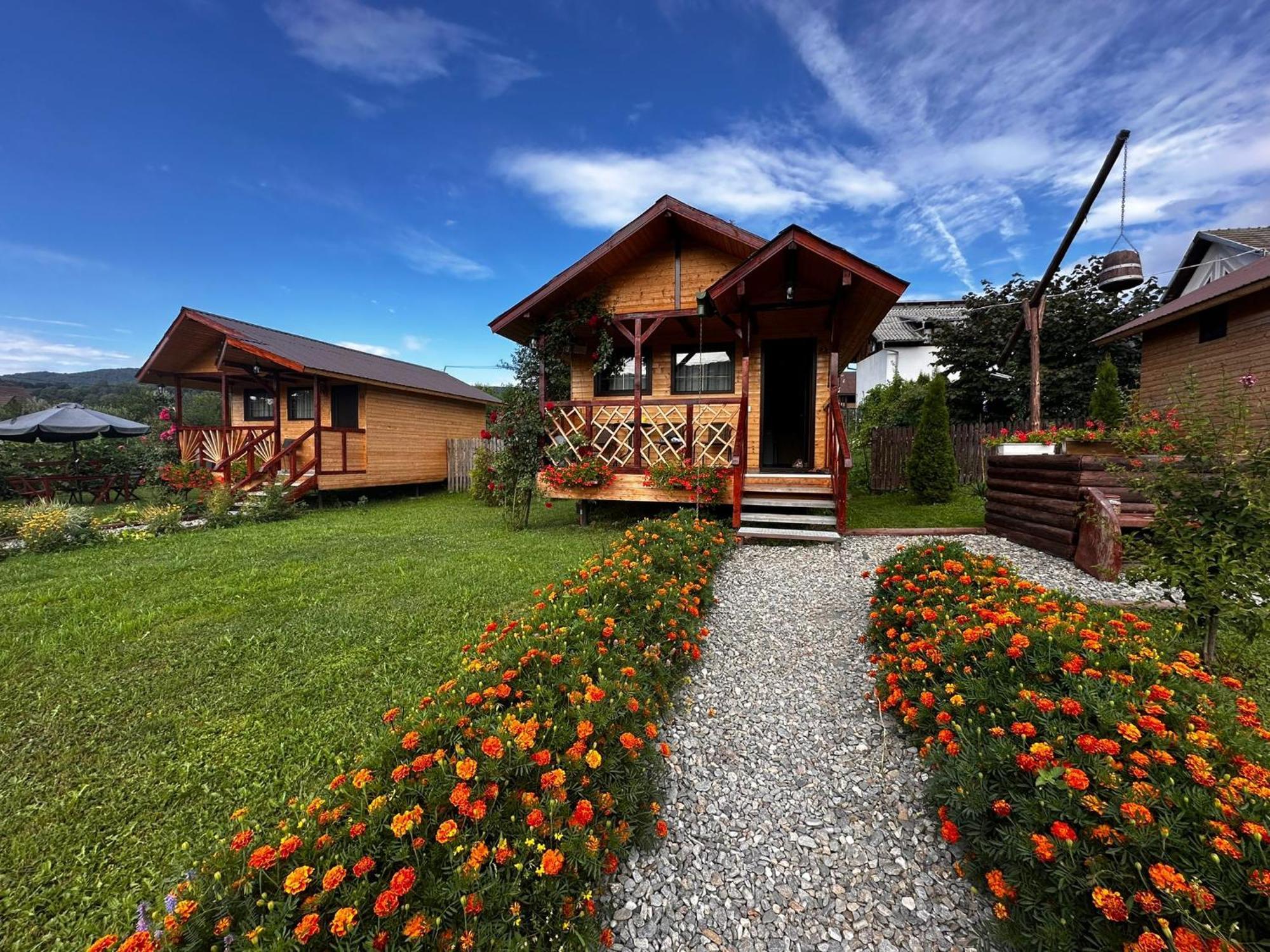 Baltina Parc Transfagarasan Villa Curtea de Argeş Dış mekan fotoğraf