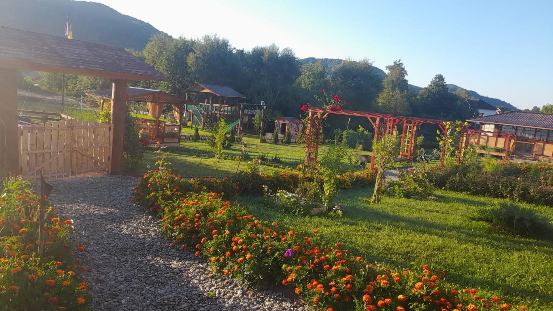 Baltina Parc Transfagarasan Villa Curtea de Argeş Dış mekan fotoğraf